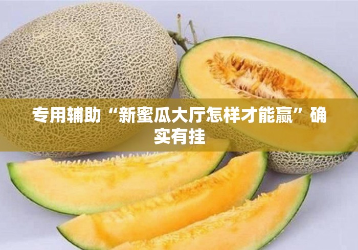 专用辅助“新蜜瓜大厅怎样才能赢”确实有挂