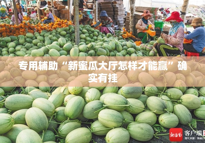 专用辅助“新蜜瓜大厅怎样才能赢”确实有挂
