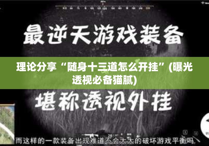 理论分享“随身十三道怎么开挂”(曝光透视必备猫腻)