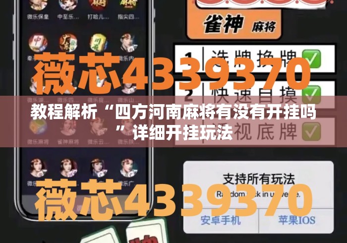 教程解析“四方河南麻将有没有开挂吗”详细开挂玩法