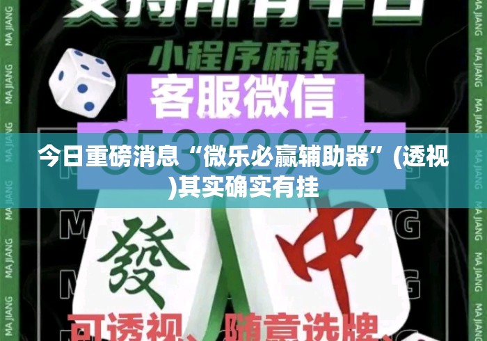 今日重磅消息“微乐必赢辅助器”(透视)其实确实有挂