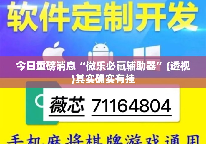今日重磅消息“微乐必赢辅助器”(透视)其实确实有挂