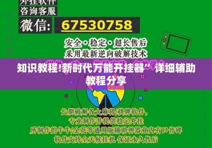 知识教程!新时代万能开挂器”详细辅助教程分享