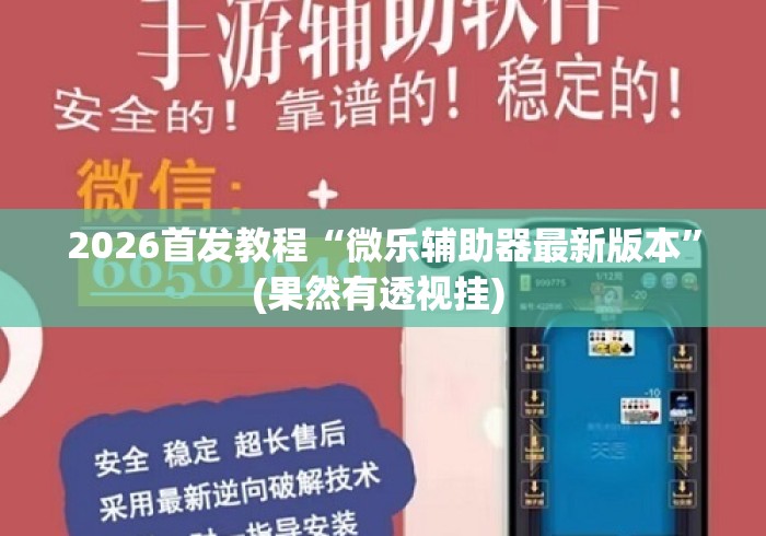 2026首发教程“微乐辅助器最新版本”(果然有透视挂) 