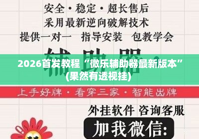 2026首发教程“微乐辅助器最新版本	”(果然有透视挂) 