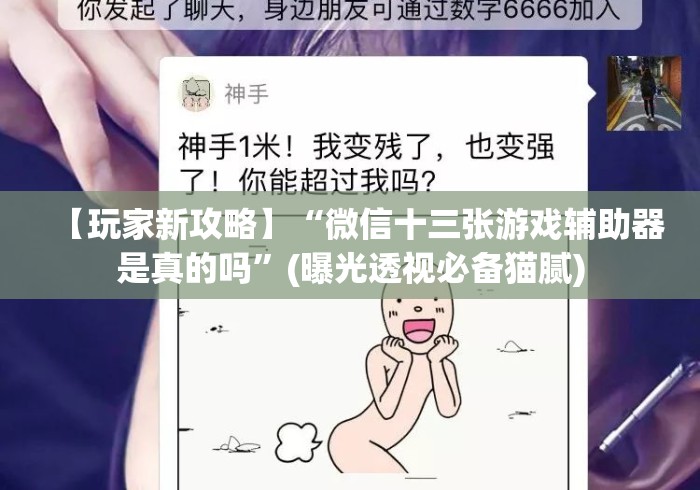 【玩家新攻略】“微信十三张游戏辅助器是真的吗”(曝光透视必备猫腻)