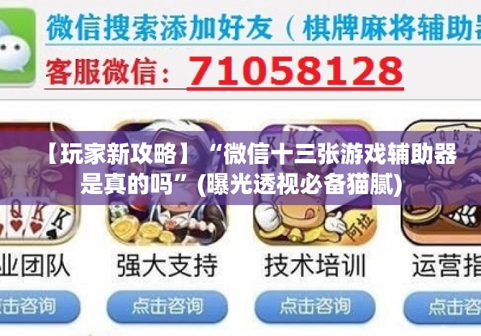 【玩家新攻略】“微信十三张游戏辅助器是真的吗”(曝光透视必备猫腻)
