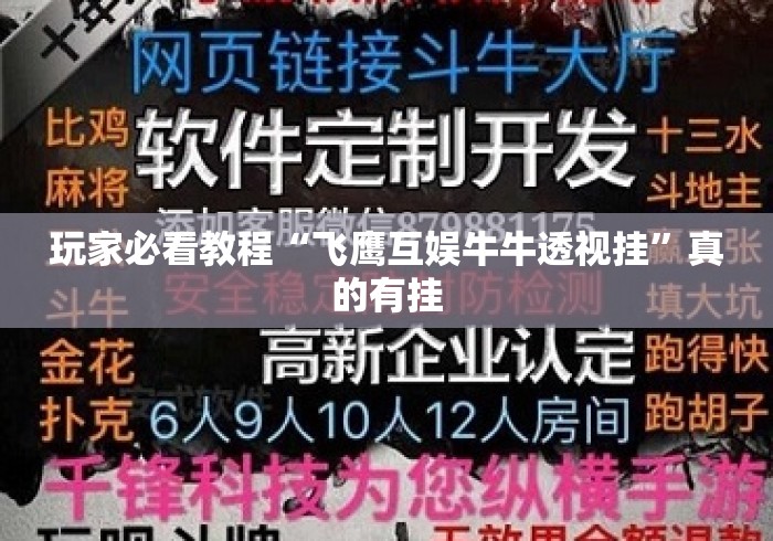 玩家必看教程“飞鹰互娱牛牛透视挂”真的有挂