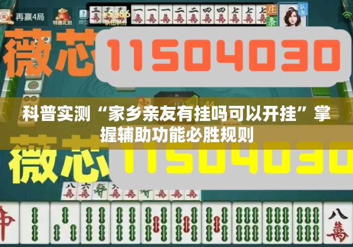 科普实测“家乡亲友有挂吗可以开挂”掌握辅助功能必胜规则