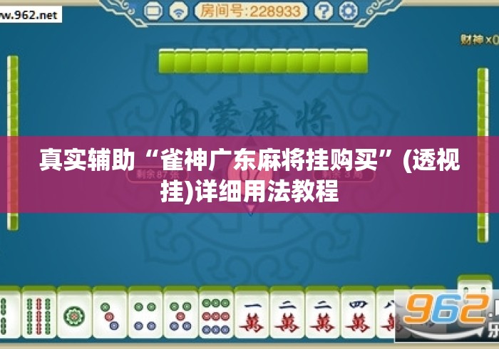 真实辅助“雀神广东麻将挂购买”(透视挂)详细用法教程