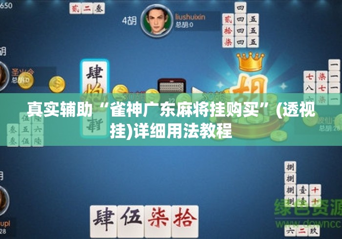 真实辅助“雀神广东麻将挂购买	”(透视挂)详细用法教程