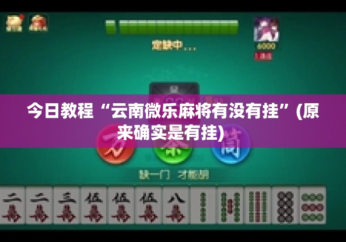今日教程“云南微乐麻将有没有挂”(原来确实是有挂) 