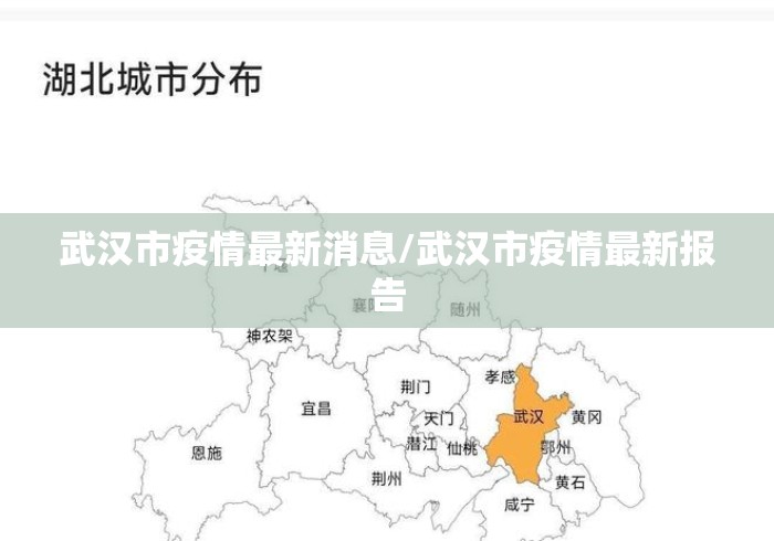 武汉市疫情最新消息/武汉市疫情最新报告 武汉市疫情最新消息/武汉市疫情最新报告
