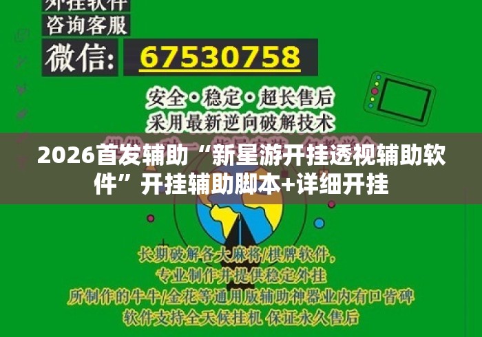 2026首发辅助“新星游开挂透视辅助软件”开挂辅助脚本+详细开挂