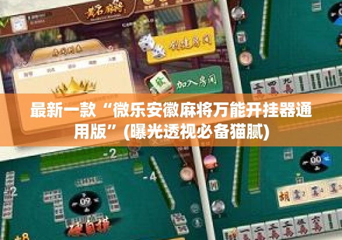最新一款“微乐安徽麻将万能开挂器通用版”(曝光透视必备猫腻)