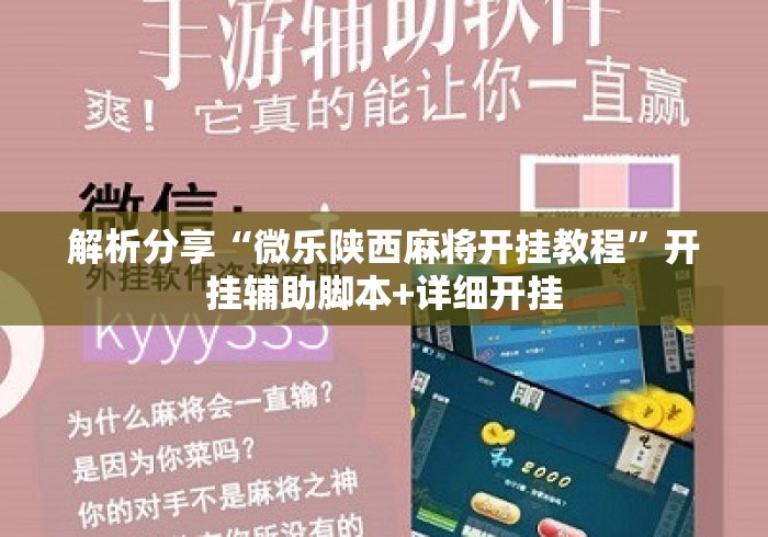 解析分享“微乐陕西麻将开挂教程	”开挂辅助脚本+详细开挂