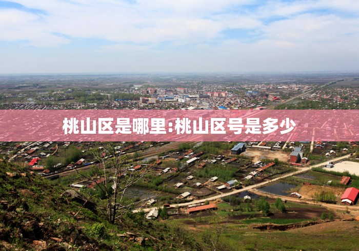 桃山区是哪里:桃山区号是多少 桃山区是哪里:桃山区号是多少