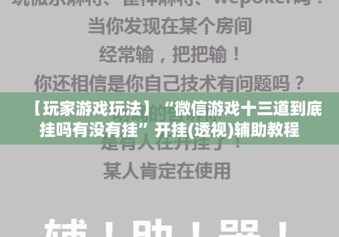 【玩家游戏玩法】“微信游戏十三道到底挂吗有没有挂	”开挂(透视)辅助教程