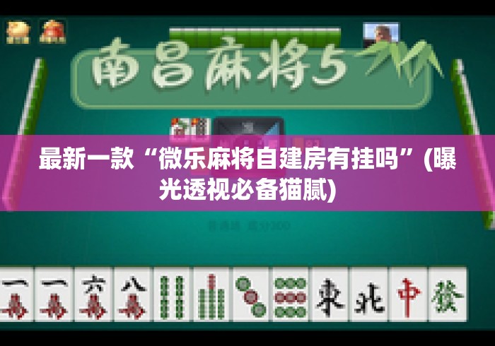 最新一款“微乐麻将自建房有挂吗”(曝光透视必备猫腻)
