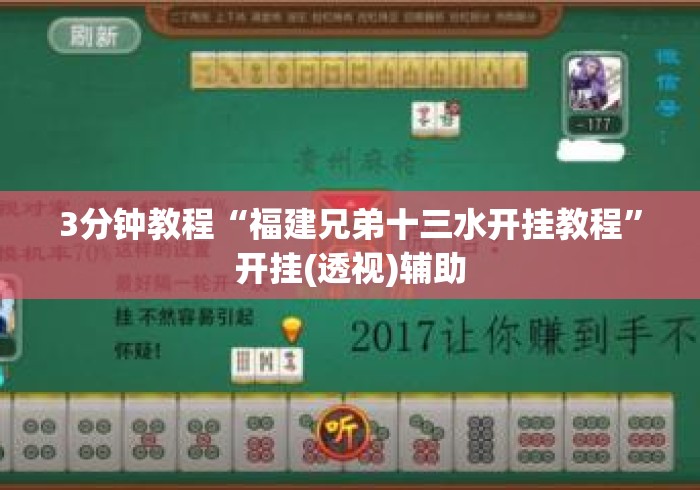 3分钟教程“福建兄弟十三水开挂教程”开挂(透视)辅助