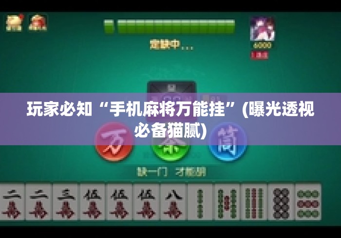 玩家必知“手机麻将万能挂”(曝光透视必备猫腻)