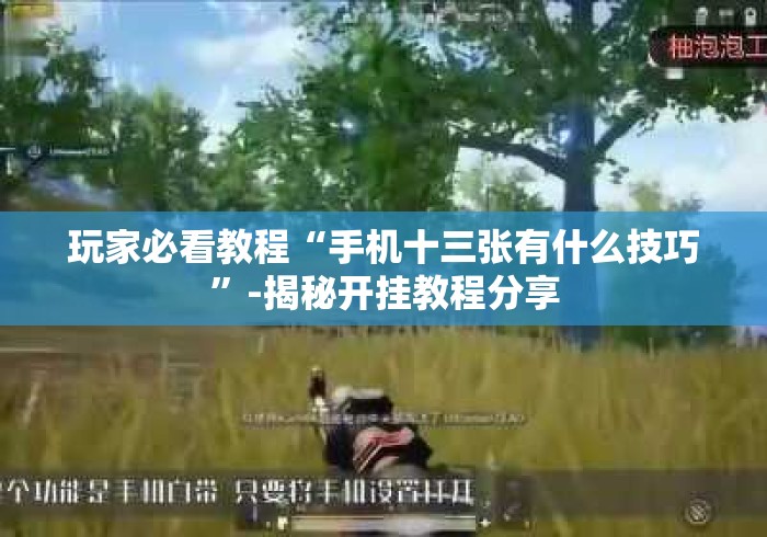 玩家必看教程“手机十三张有什么技巧	”-揭秘开挂教程分享