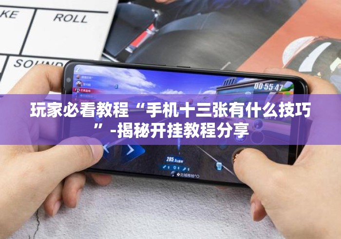 玩家必看教程“手机十三张有什么技巧”-揭秘开挂教程分享