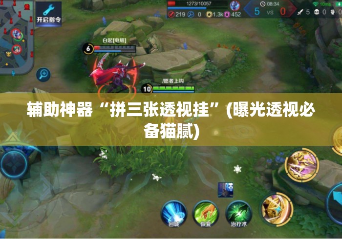 辅助神器“拼三张透视挂”(曝光透视必备猫腻)
