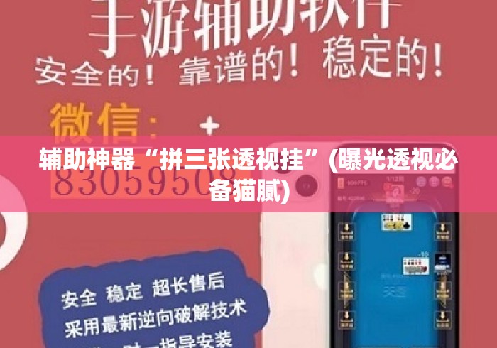 辅助神器“拼三张透视挂	”(曝光透视必备猫腻)