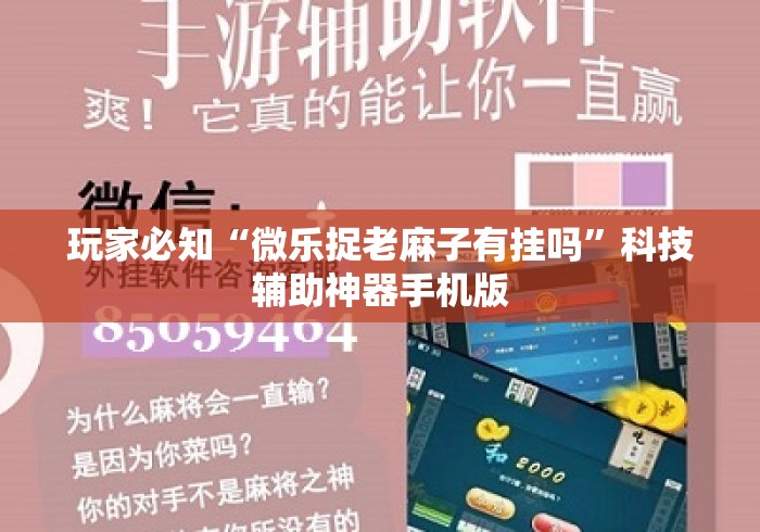 玩家必知“微乐捉老麻子有挂吗”科技辅助神器手机版