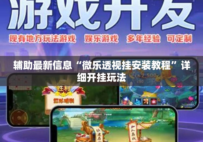 辅助最新信息“微乐透视挂安装教程”详细开挂玩法