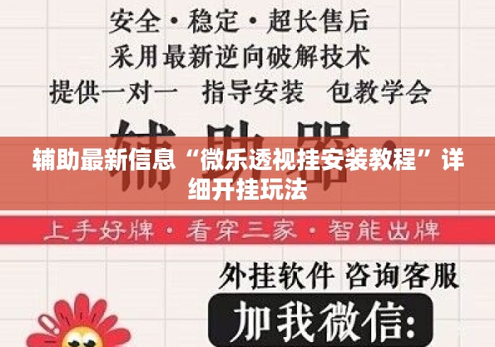 辅助最新信息“微乐透视挂安装教程”详细开挂玩法