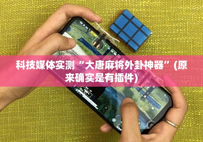 科技媒体实测“大唐麻将外卦神器”(原来确实是有插件)
