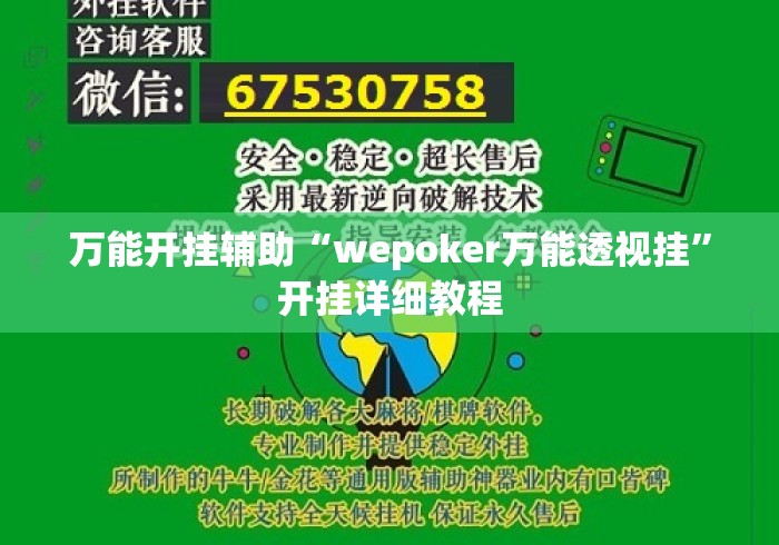万能开挂辅助“wepoker万能透视挂”开挂详细教程