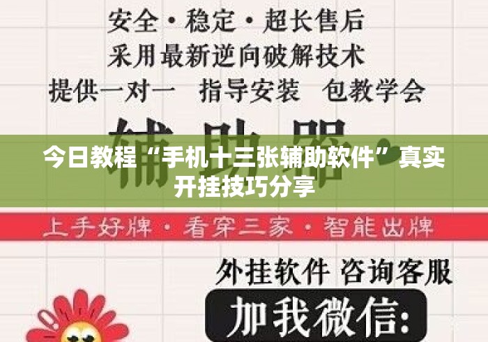今日教程“手机十三张辅助软件”真实开挂技巧分享