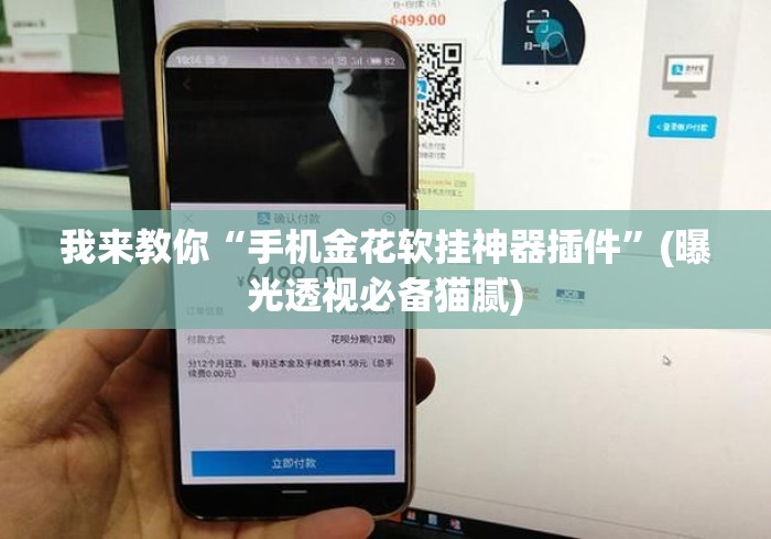 我来教你“手机金花软挂神器插件”(曝光透视必备猫腻)