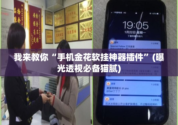 我来教你“手机金花软挂神器插件”(曝光透视必备猫腻)