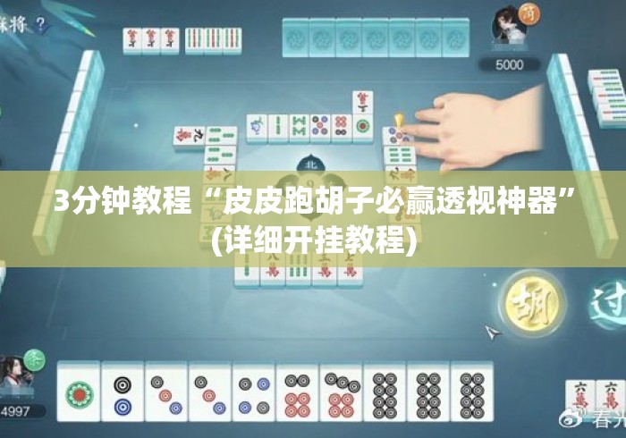 3分钟教程“皮皮跑胡子必赢透视神器”(详细开挂教程)