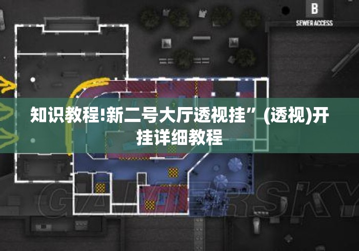 知识教程!新二号大厅透视挂	”(透视)开挂详细教程