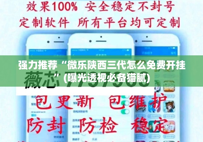 强力推荐“微乐陕西三代怎么免费开挂	”(曝光透视必备猫腻)
