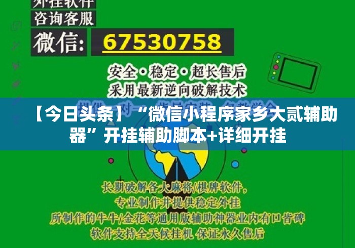 【今日头条】“微信小程序家乡大贰辅助器”开挂辅助脚本+详细开挂