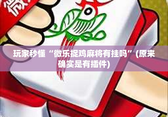玩家秒懂“微乐捉鸡麻将有挂吗	”(原来确实是有插件)
