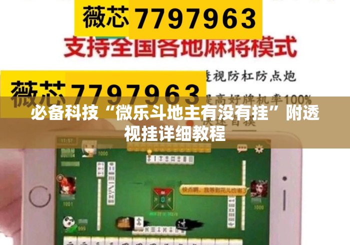 必备科技“微乐斗地主有没有挂”附透视挂详细教程