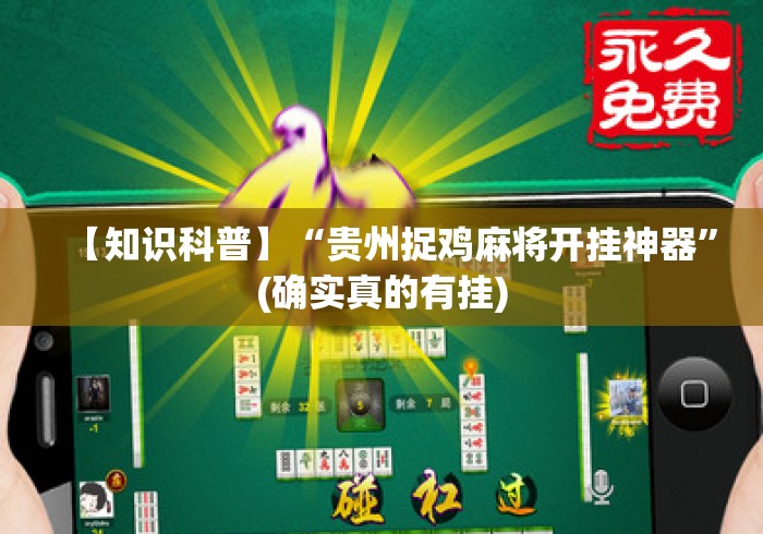 【知识科普】“贵州捉鸡麻将开挂神器	”(确实真的有挂)