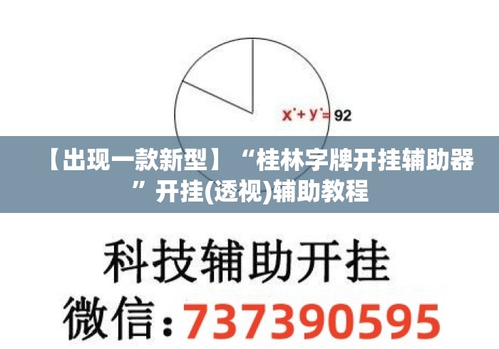 【出现一款新型】“桂林字牌开挂辅助器”开挂(透视)辅助教程