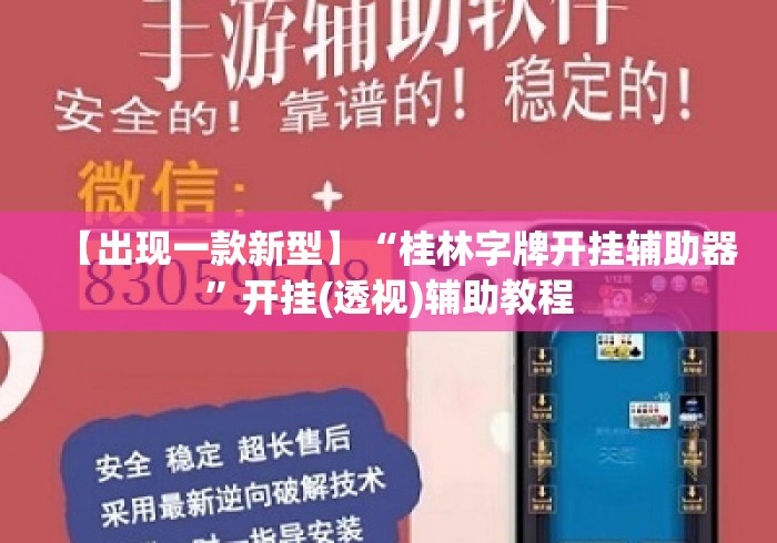 【出现一款新型】“桂林字牌开挂辅助器”开挂(透视)辅助教程