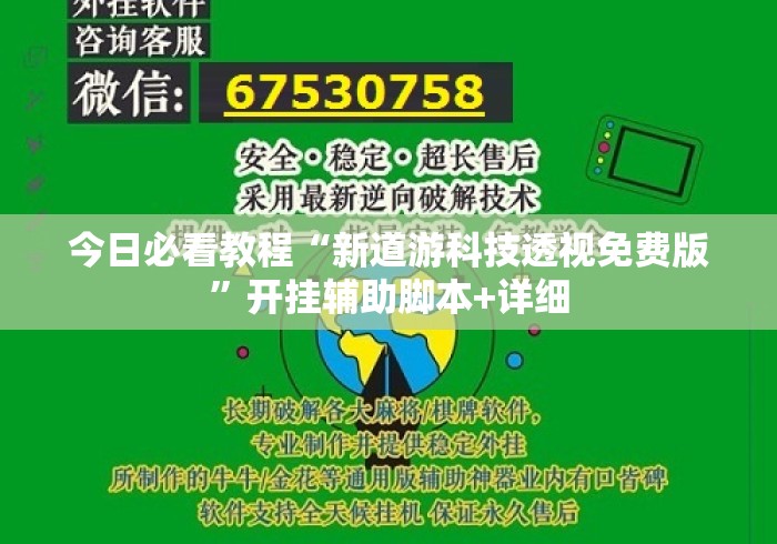 今日必看教程“新道游科技透视免费版”开挂辅助脚本+详细