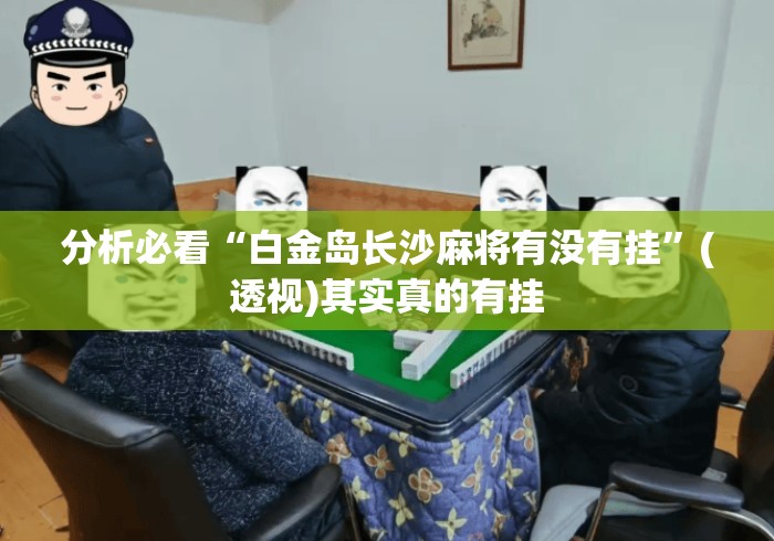 分析必看“白金岛长沙麻将有没有挂”(透视)其实真的有挂