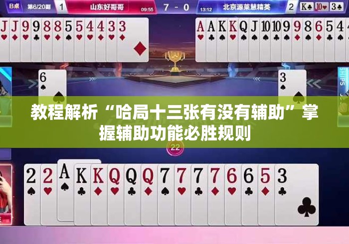 教程解析“哈局十三张有没有辅助	”掌握辅助功能必胜规则