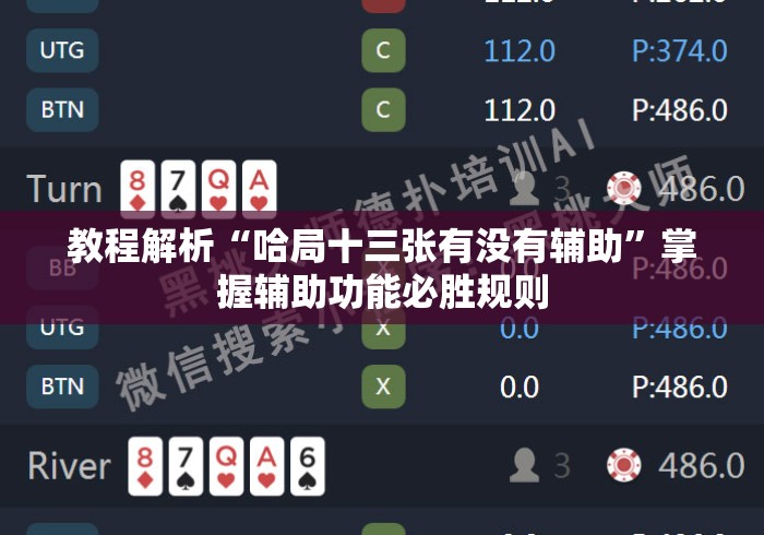 教程解析“哈局十三张有没有辅助”掌握辅助功能必胜规则